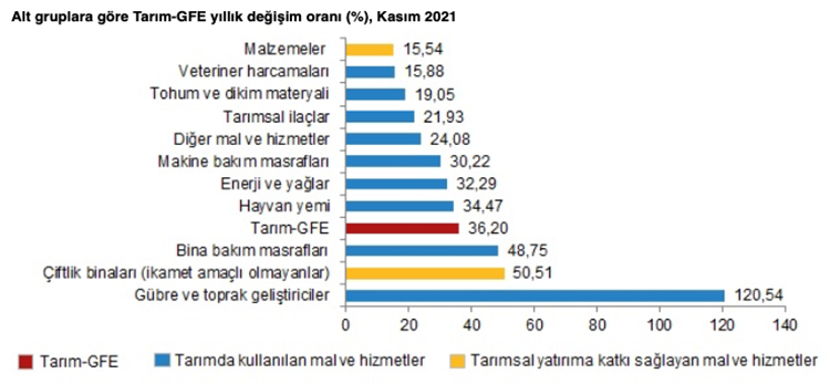 tarim-2